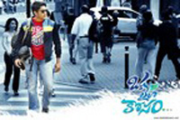 Oka Laila Kosam Movie Wallpapers